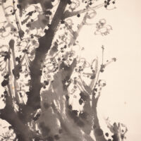 【河上鴻立】 13814 掛軸 日本画 「墨梅之図」 共箱 紙本 風景図 熊本 肥後 天草 在銘の画像8